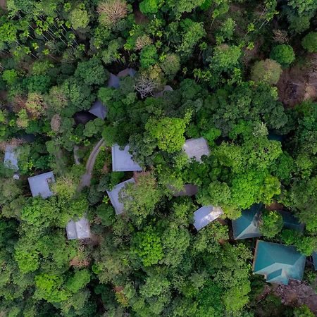 The Hive, Wayanad Hotel Luaran gambar