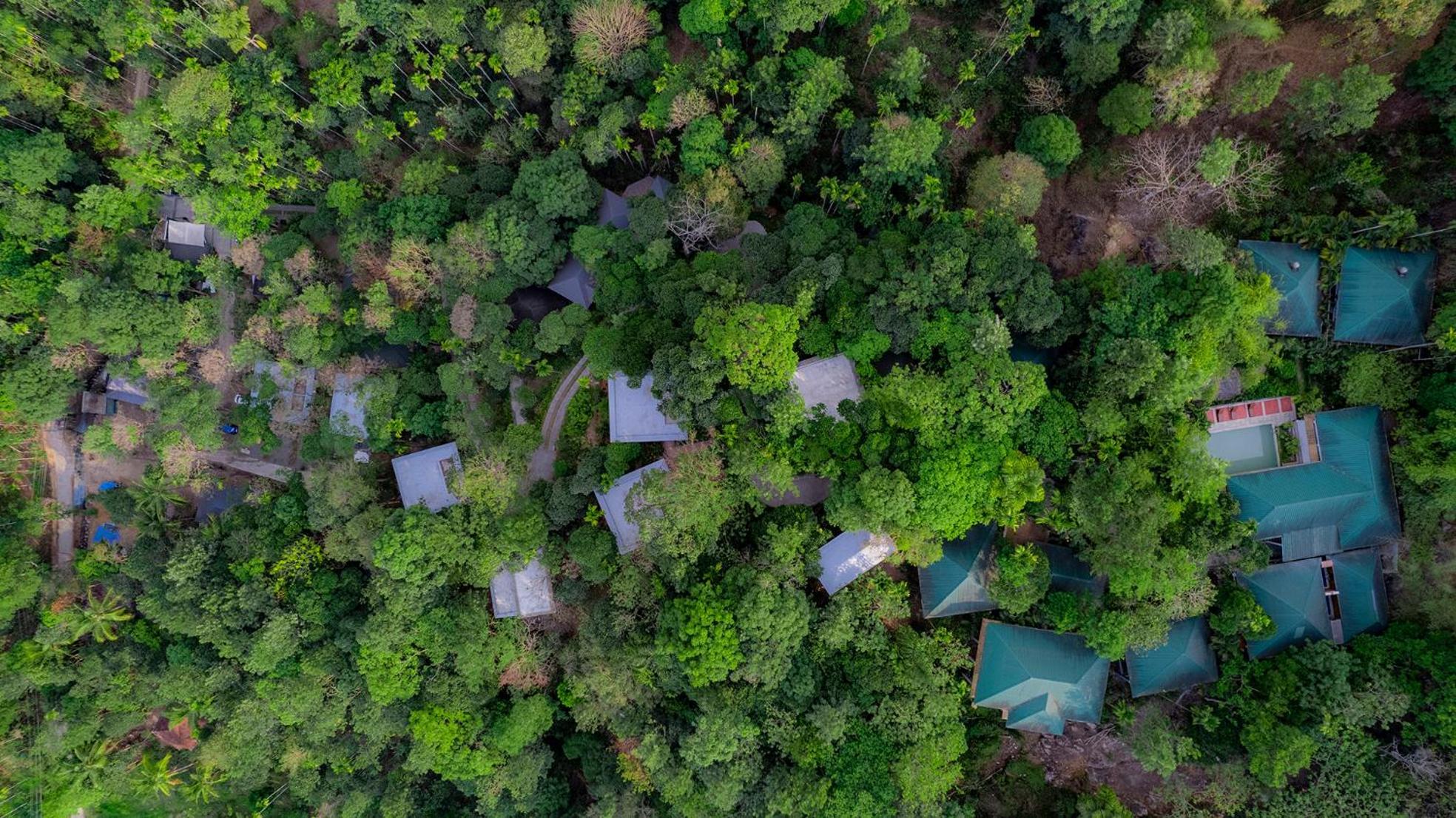 The Hive, Wayanad Hotel Luaran gambar