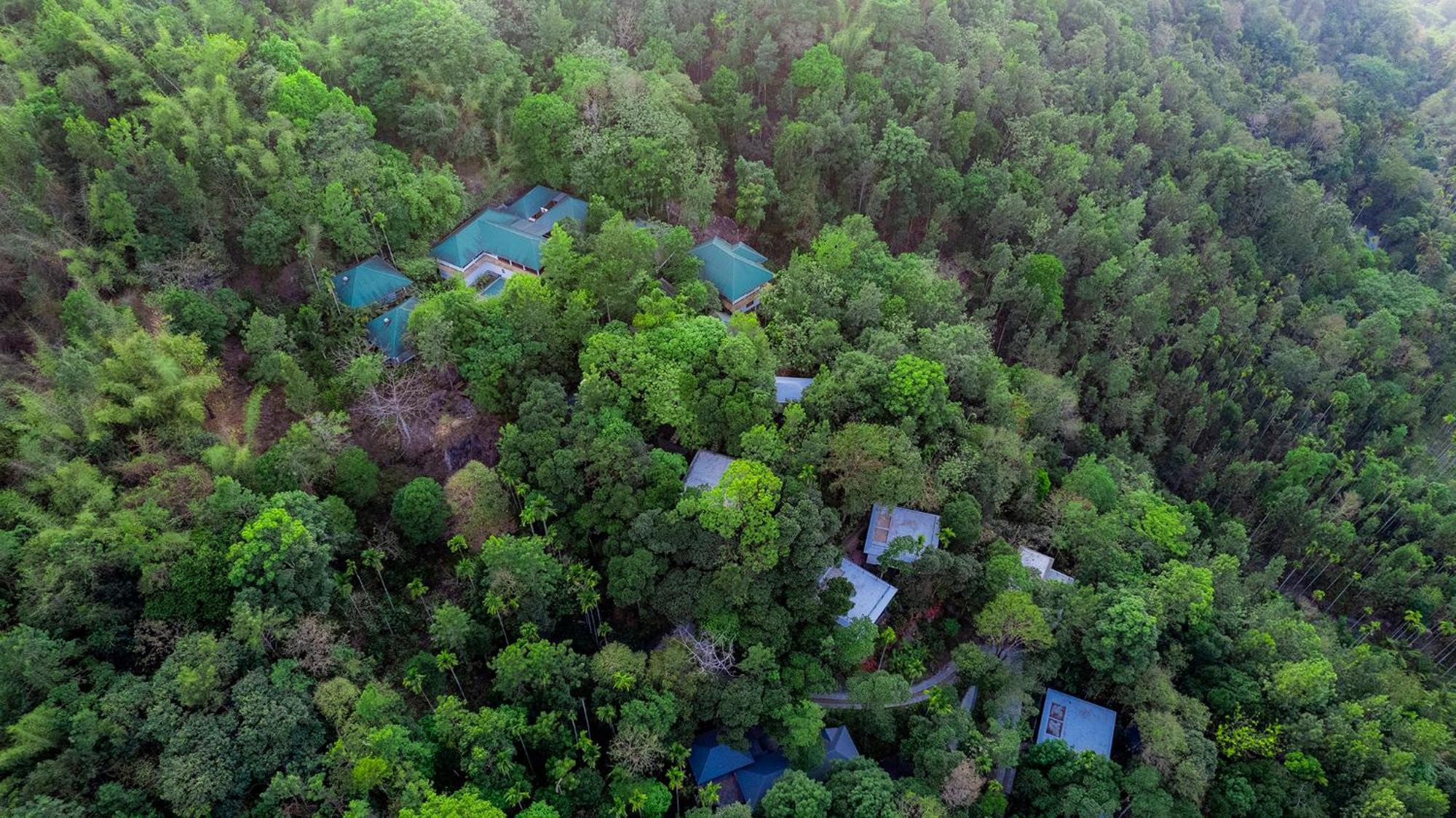 The Hive, Wayanad Hotel Luaran gambar