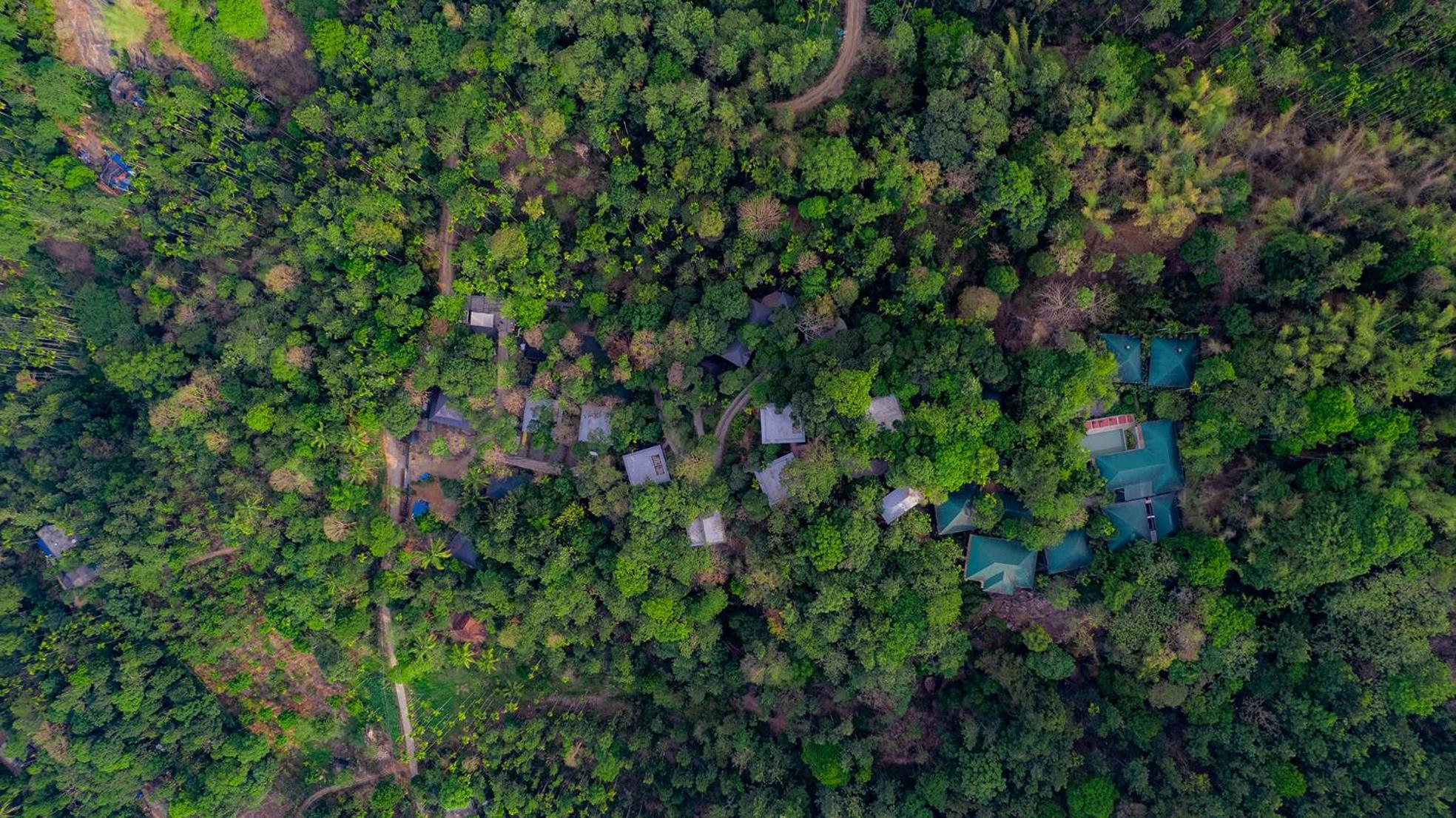 The Hive, Wayanad Hotel Luaran gambar