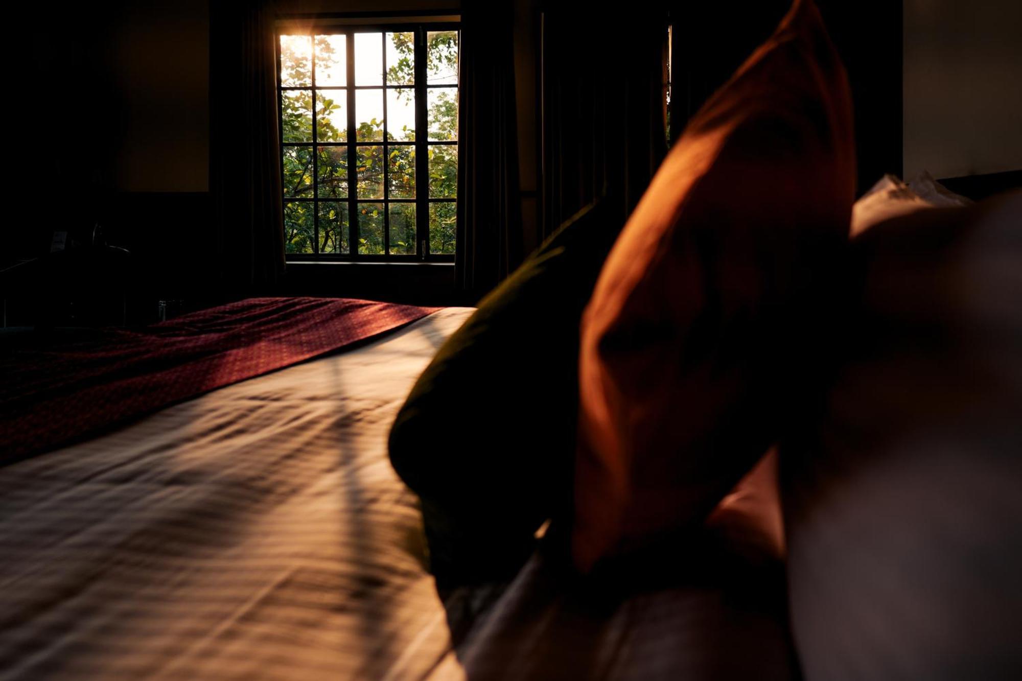 The Hive, Wayanad Hotel Luaran gambar