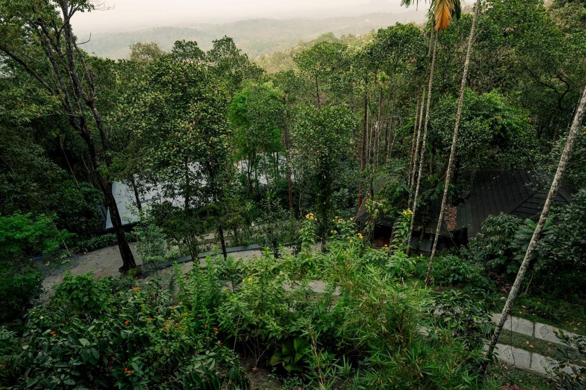 The Hive, Wayanad Hotel Luaran gambar