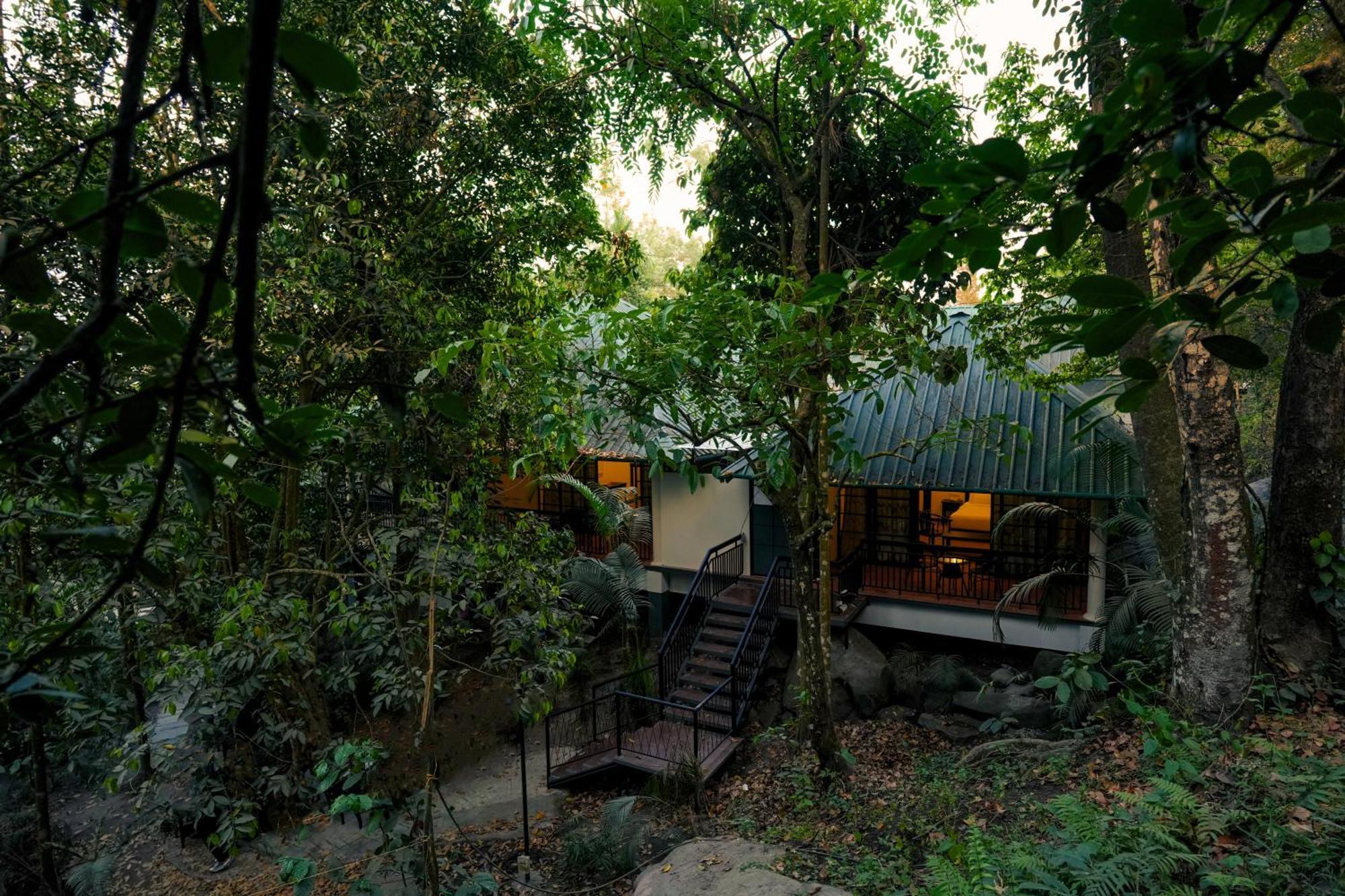 The Hive, Wayanad Hotel Luaran gambar