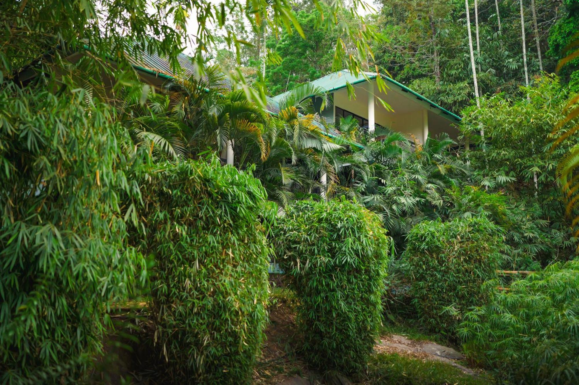 The Hive, Wayanad Hotel Luaran gambar